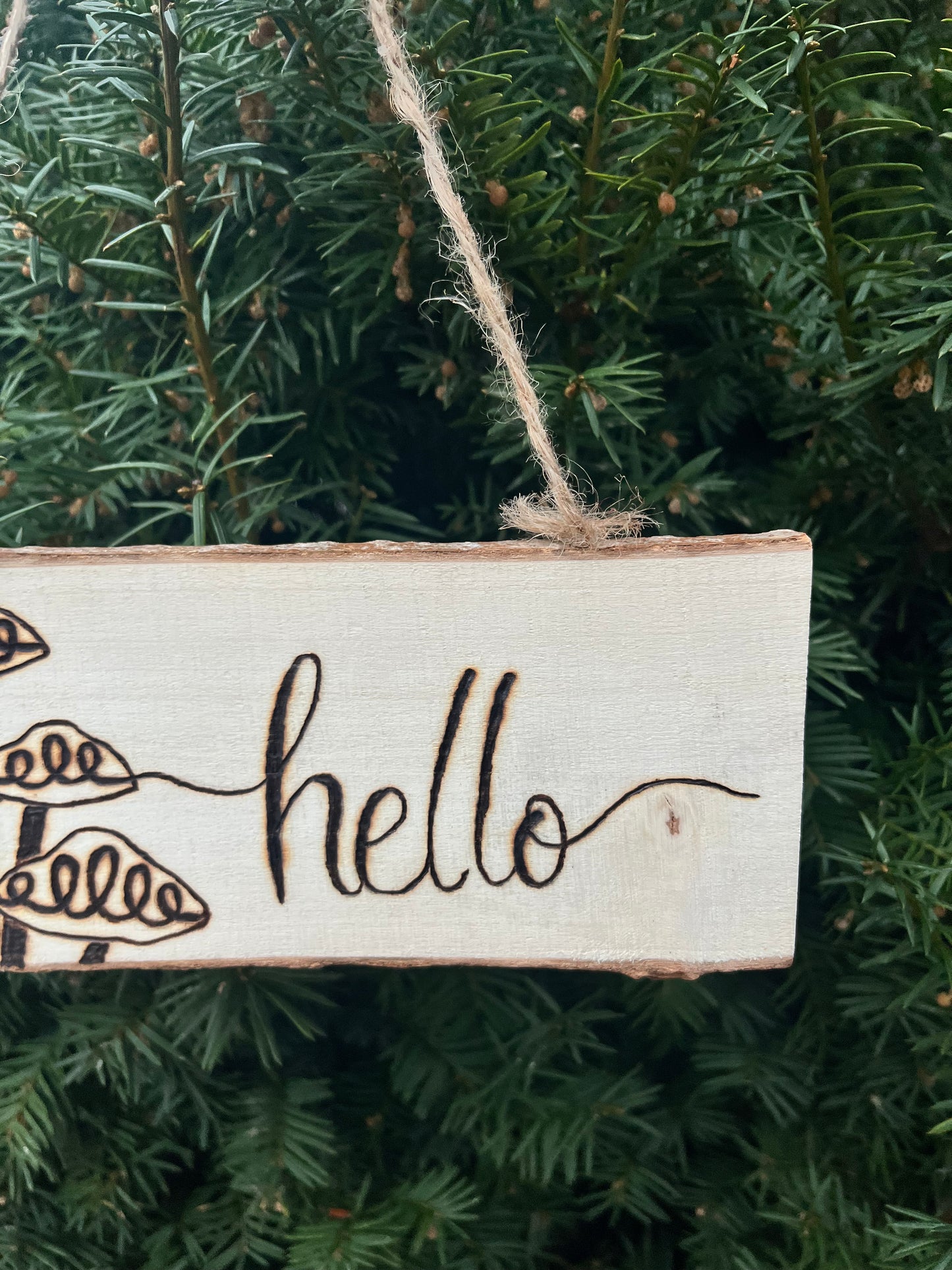 Hello Sign