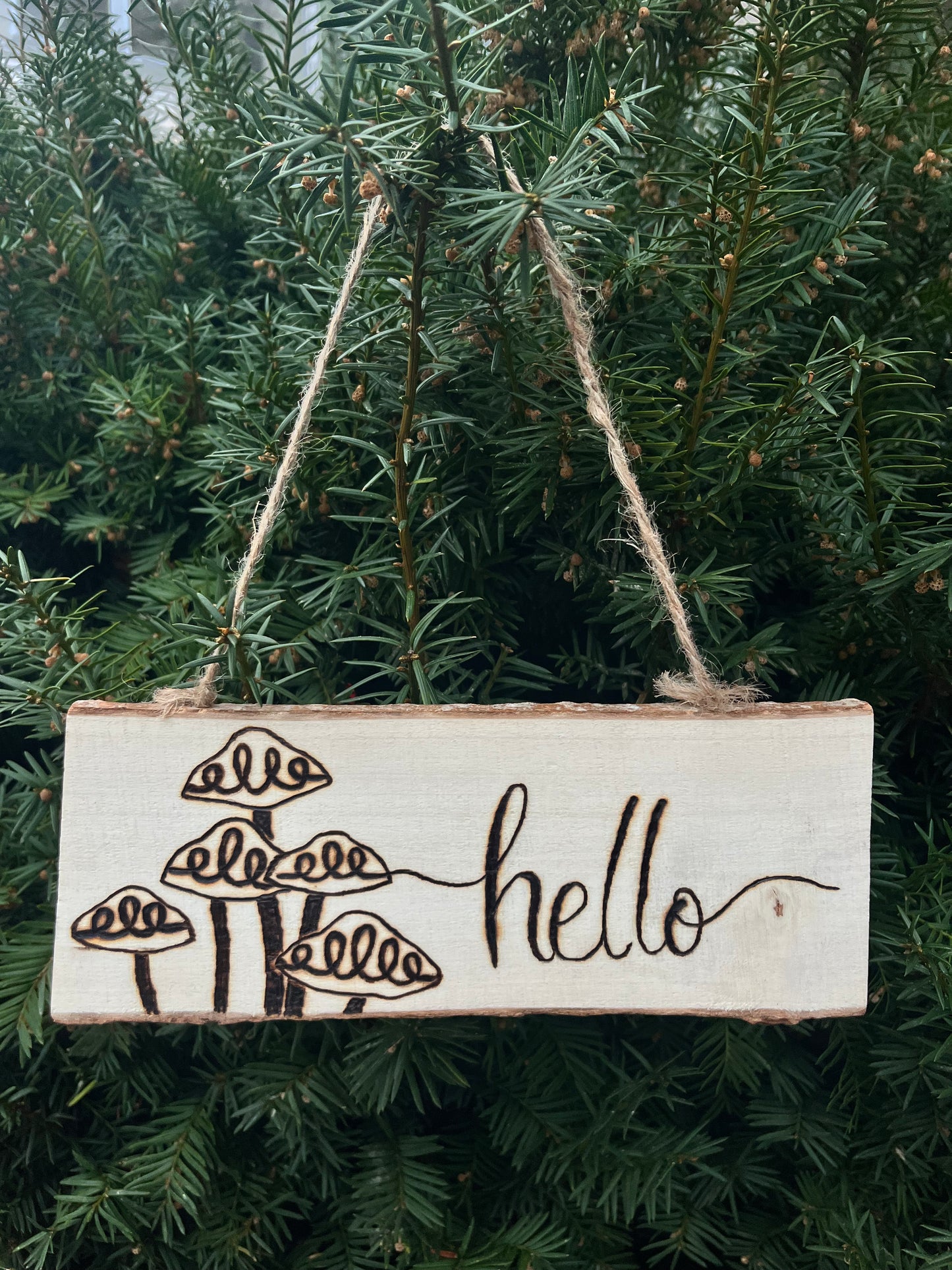 Hello Sign