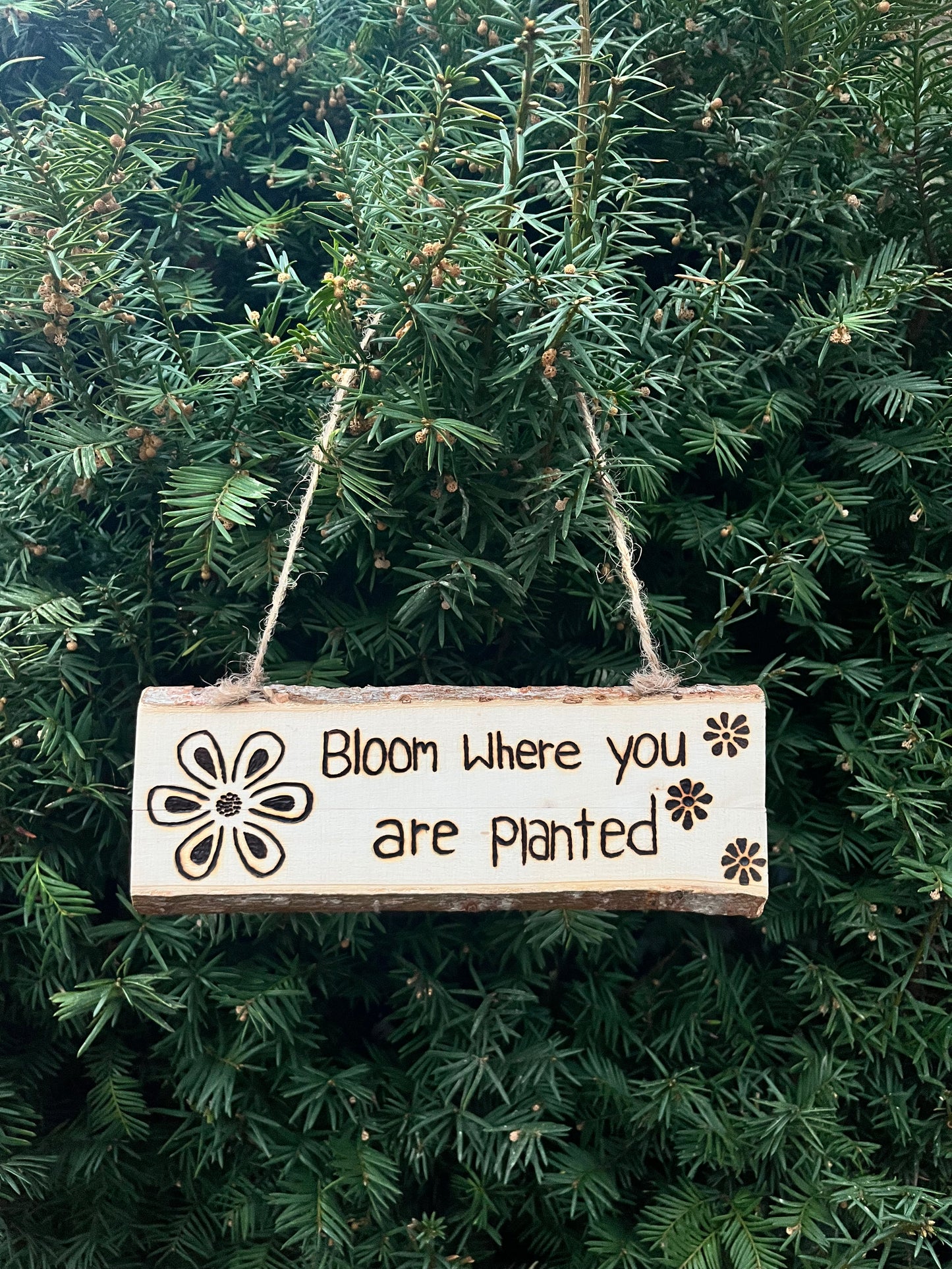 Bloom Where You Are Planted Sign